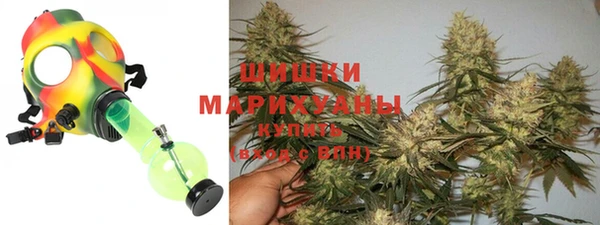 крисы Аркадак